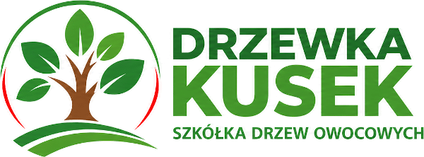 Drzewka Kusek