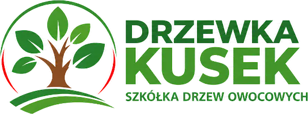 Drzewka Kusek