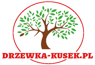 drzewka kusek logo