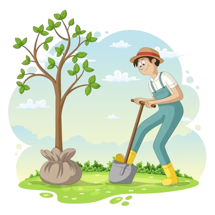 szkółka drzew owocowych